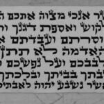 parchment sefaradic tefilin